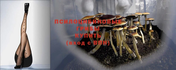 дурь Аркадак