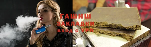 индика Няндома