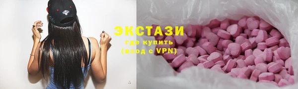 индика Няндома