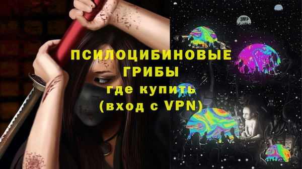 МДПВ Армянск