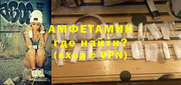 индика Няндома