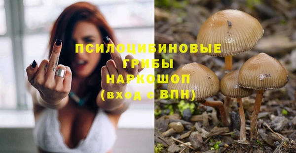 МДПВ Армянск