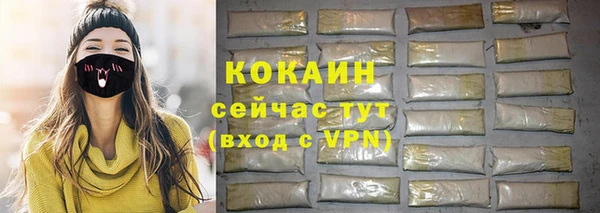 индика Няндома